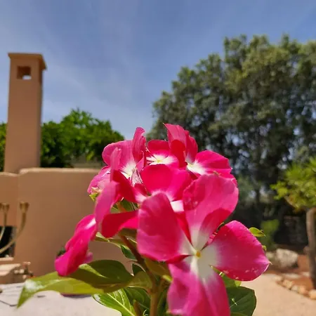 Tenuta Victoria Frühstückspension 3*