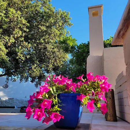 Tenuta Victoria Frühstückspension